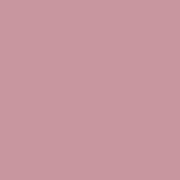 1043-7 Oncidium