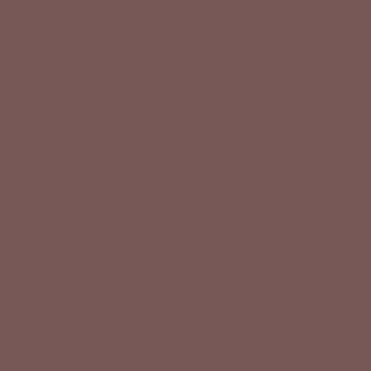 1206-10 Chocolate
