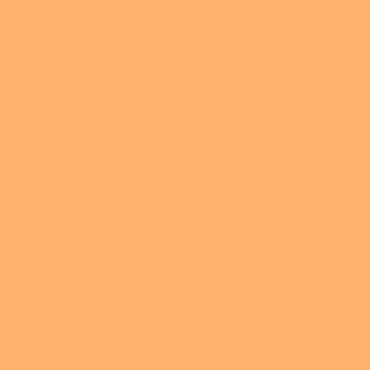 2334-2 Sunshine Orange