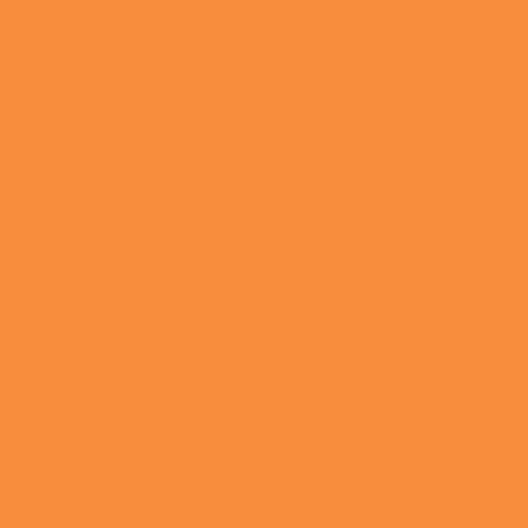 2336-2 Bright Orange