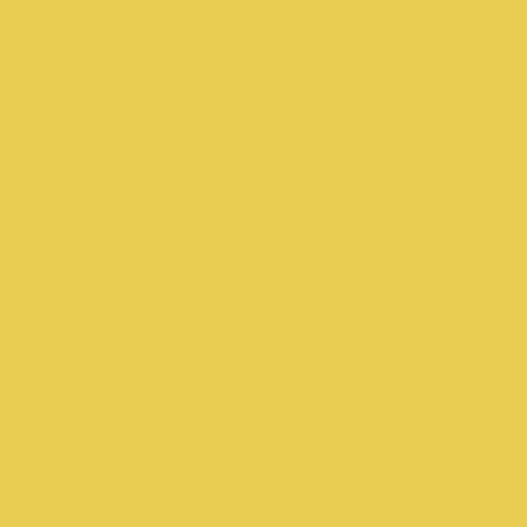 3001 Cornfield / Canola Fields