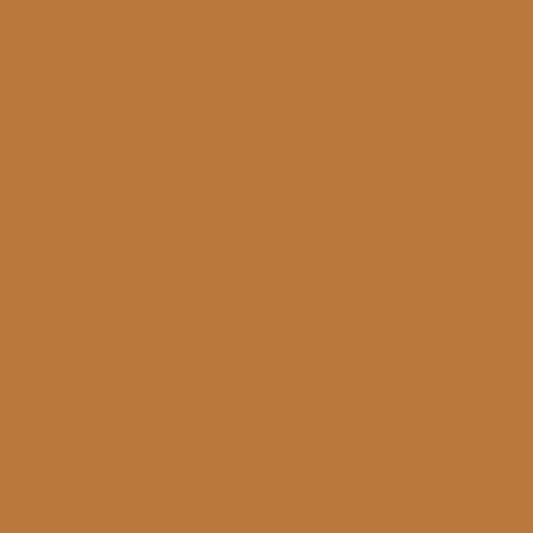 3006 Warm Wood