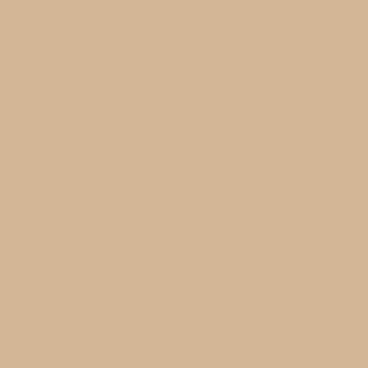 3373-9 Desert