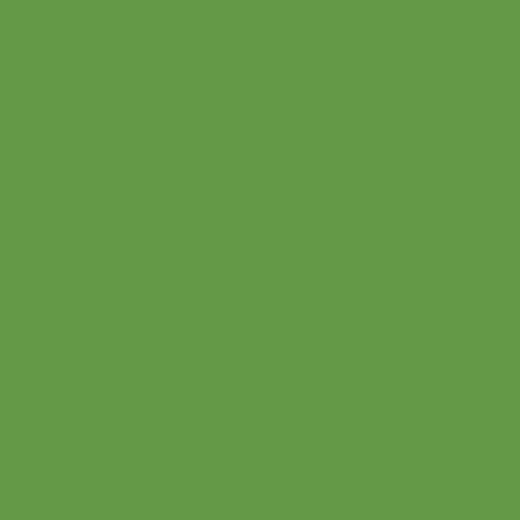4002 Green Mango