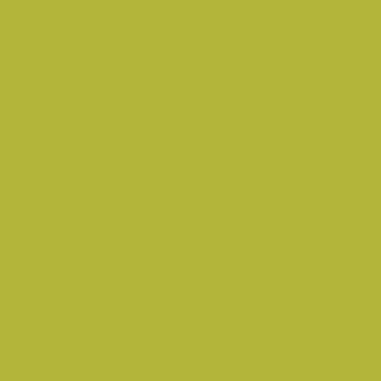 4506-2 New Green