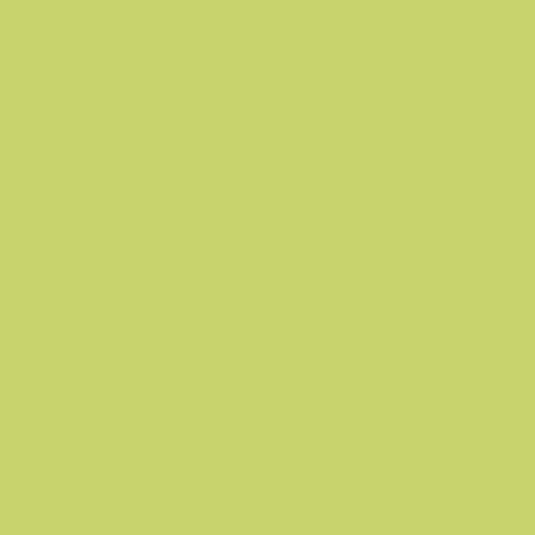 4514-2 Vibrant