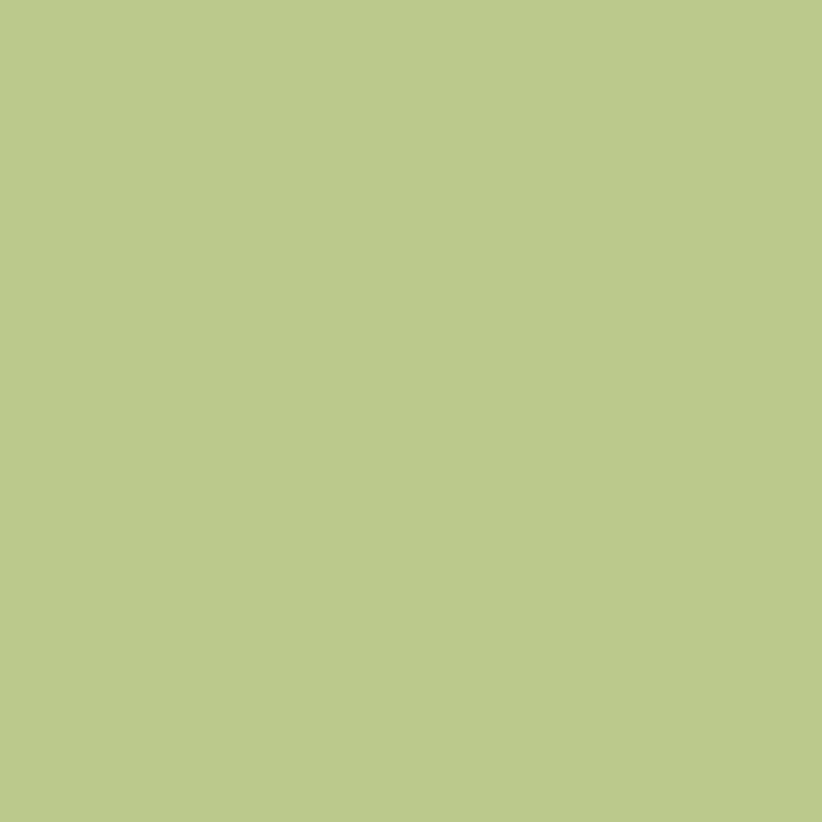 4533-3 Gourd Melon