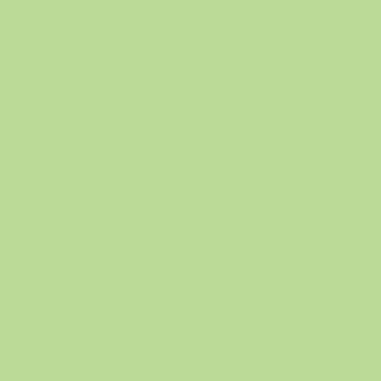 4553-1 Green Mantis