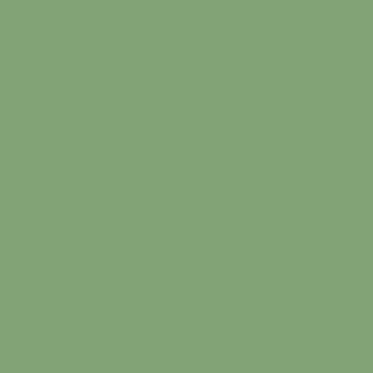 4555-6 Araucaria