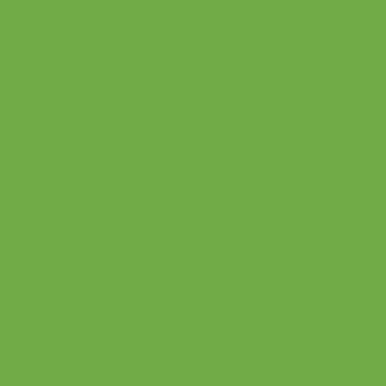 4556-2 Maple Poplar