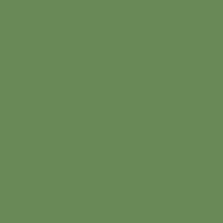 4556-6 Rainforest