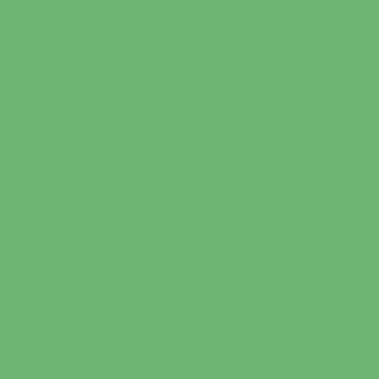 4575-2 Playground Green