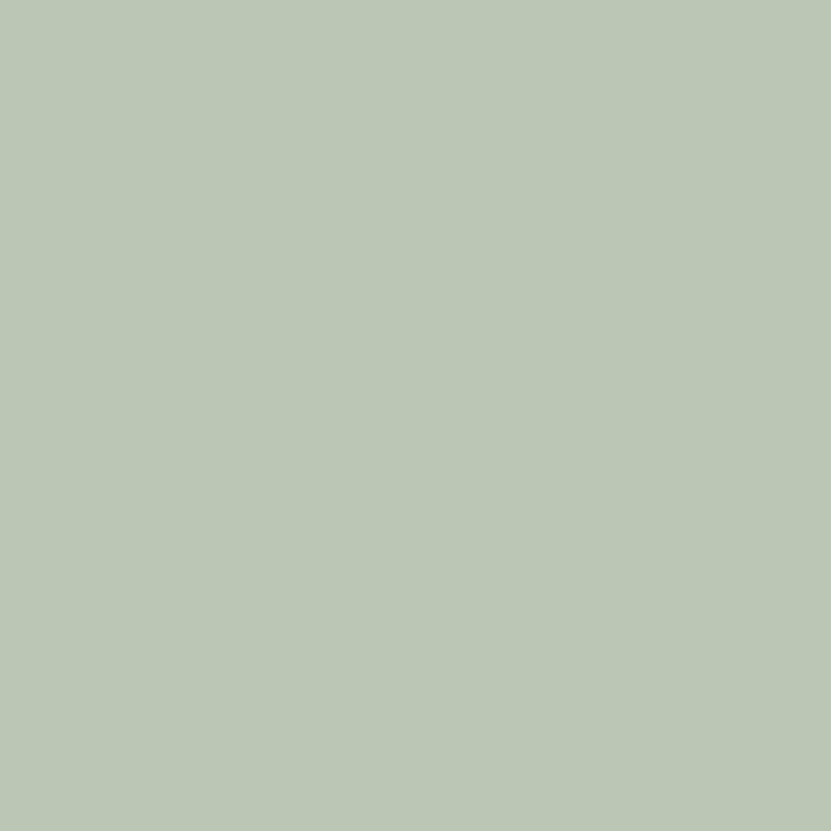 4592-7 Rainforest Dew