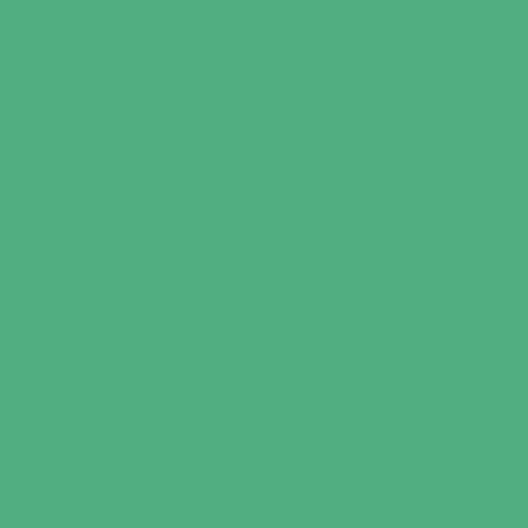 4595-2 Schefflera