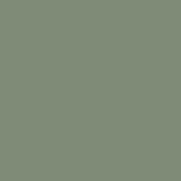 4595-8 Green Marsh