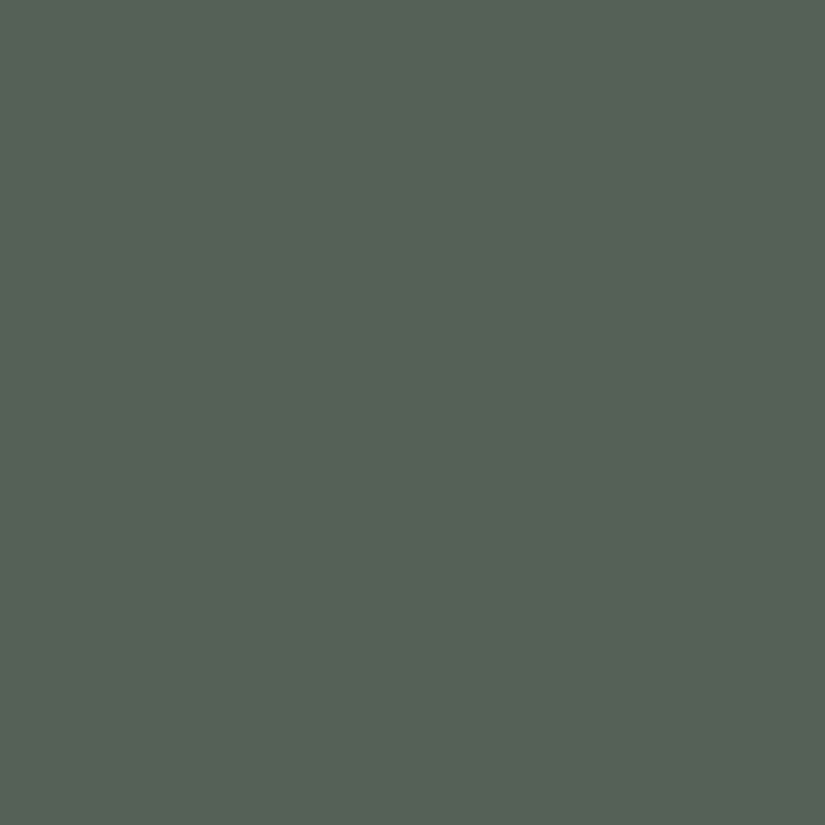 4596-8 Palm