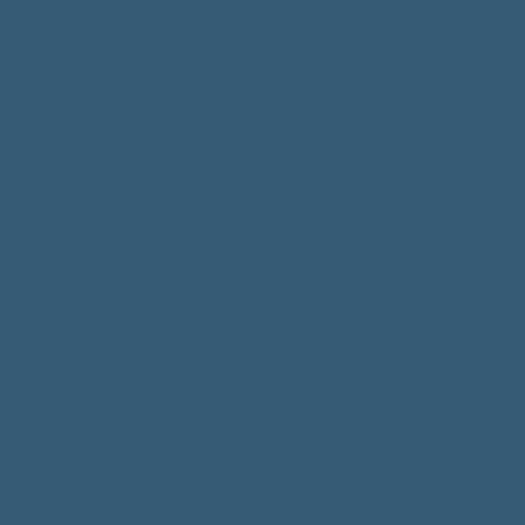 5696-6 Ink Stain / Blue Ink