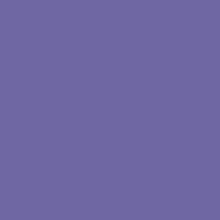 6816-2 Japanese Water Iris