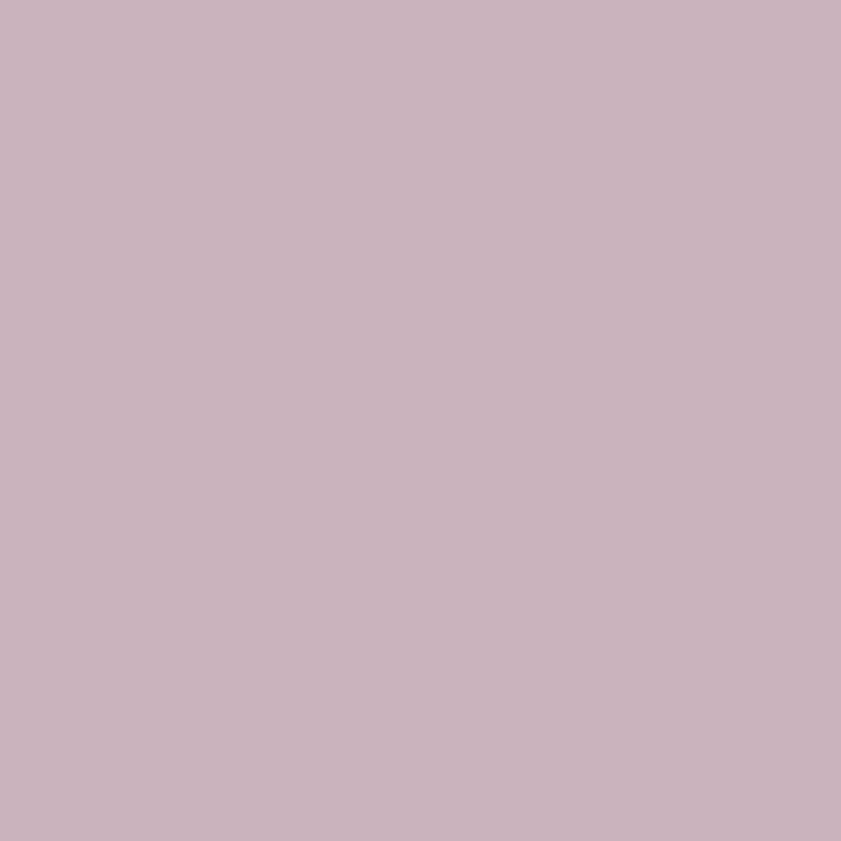 6872-7 Light Shadow Crystal