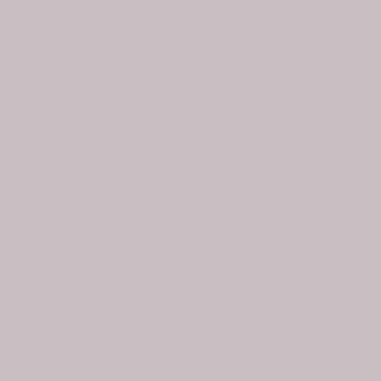 N912-9 Light Grey Purple