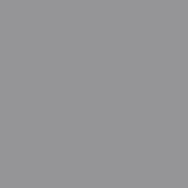 N964-10 Silver Grey